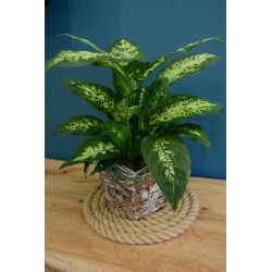 Corda di juta diametro 20mm